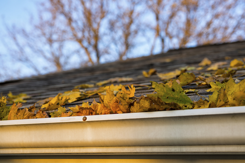 Roof Damage To Look Out For This Fall - All Climate Roofing