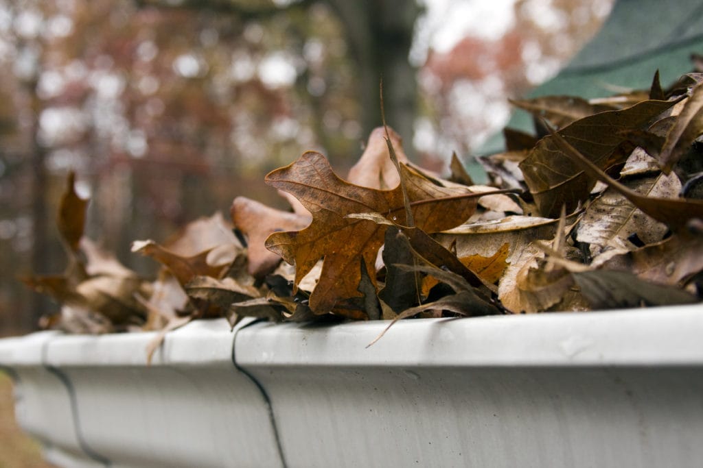Roof Damage | All Climate Roofing