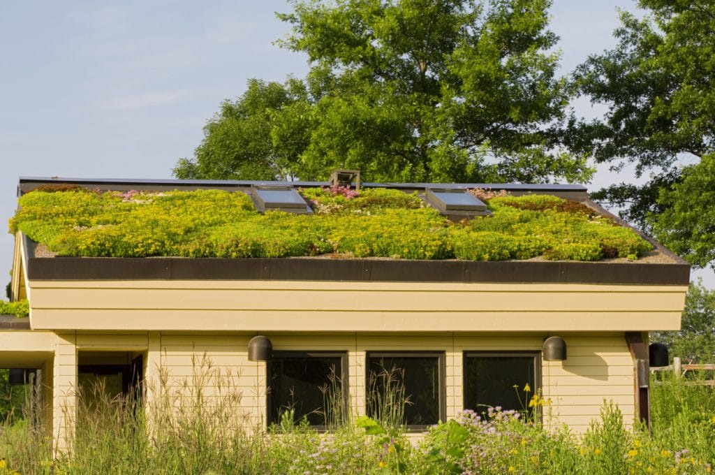 Living Green Roof | All Climate Roofing