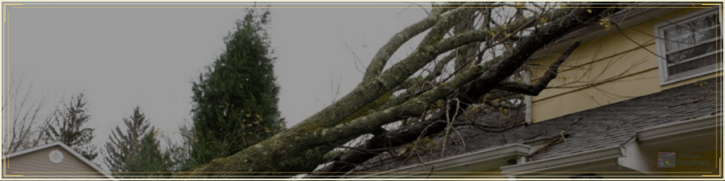 Fallen Tree on Roof Causing Damage - All Climate Roofing